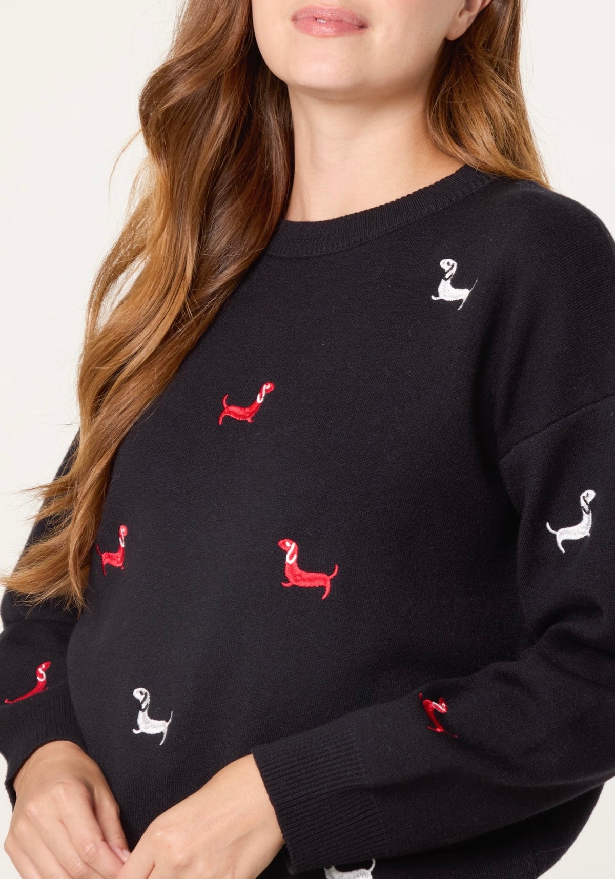 Mini dachshund jumper