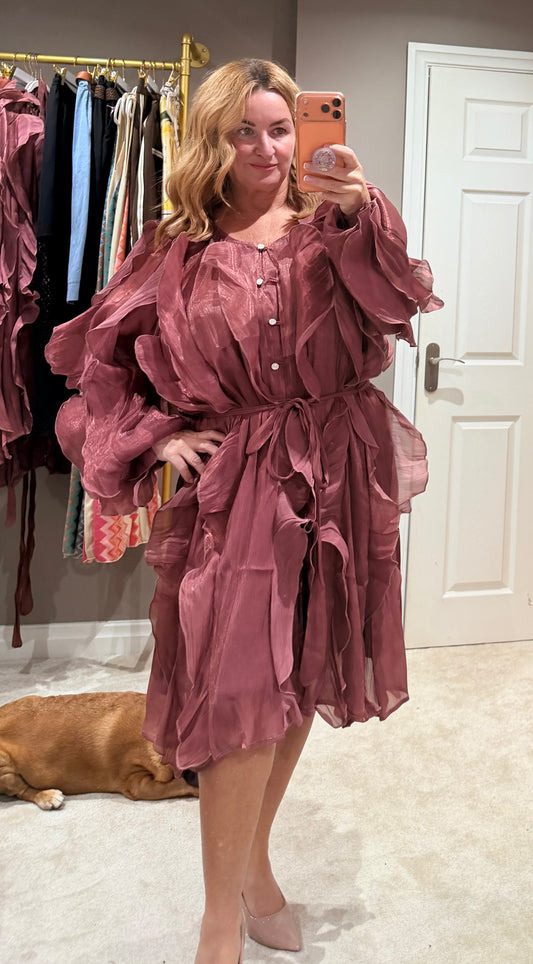 The Freya organza silk dress